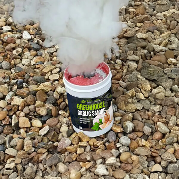 Garlic Candles and Natural Disinfectant Offers