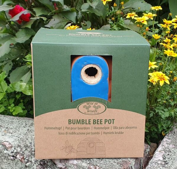 Ceramic Bumblebee Pot