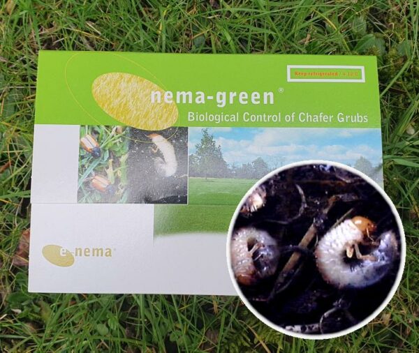Green Gardener Chafer Killer 100 sqm