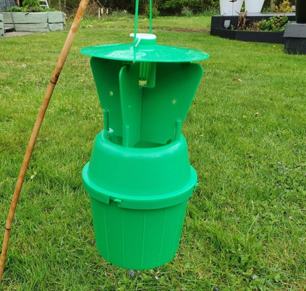 Adult Chafer Beetle Trap with Lure