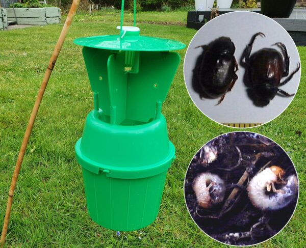 Adult Chafer Beetle Trap with Lure