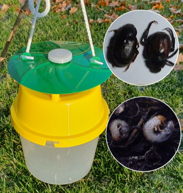 Chafer Trap Lure (Lure ONLY)