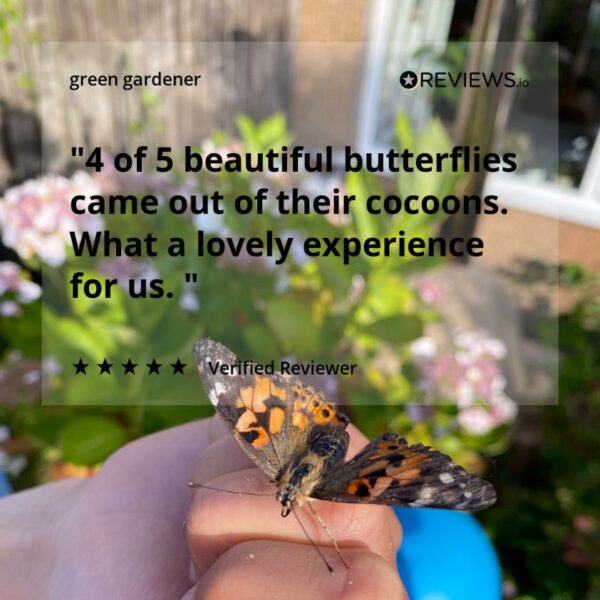 Caterpillar Refill