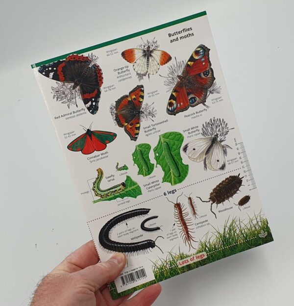 Garden Bugs and Beasties Field Guide
