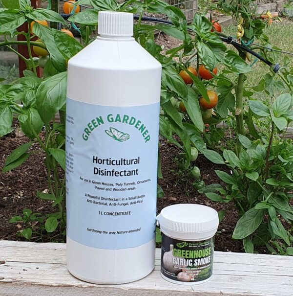 Garlic Candles and Natural Disinfectant Offers