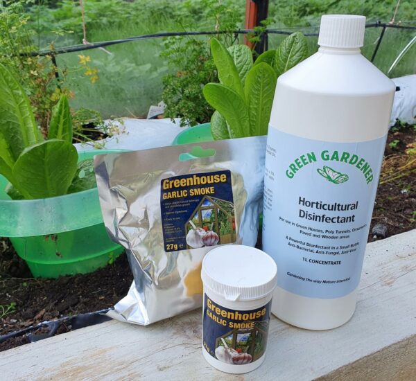 Garlic Candles and Natural Disinfectant Offers