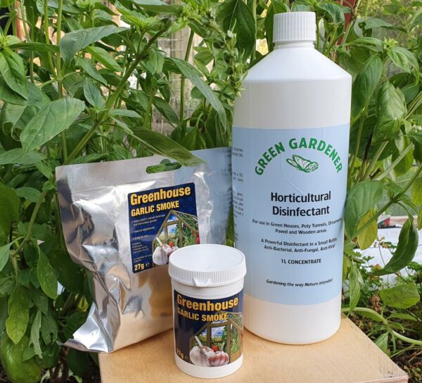Garlic Candles and Natural Disinfectant Offers