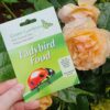 Ladybird Food & Attractant TWIN Pack