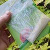 Ladybird Food & Attractant TWIN Pack