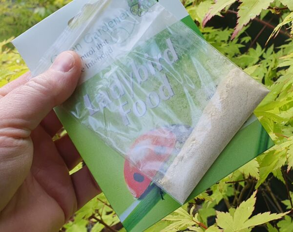 Ladybird Food & Attractant
