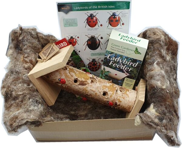 Ladybird Giftbox