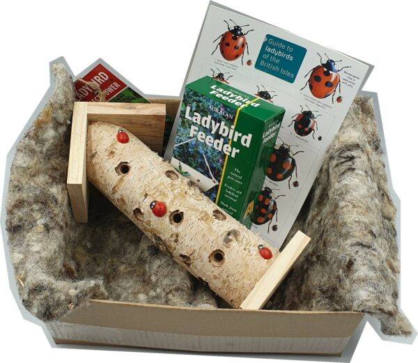 Ladybird Giftbox