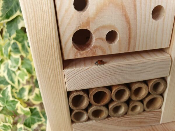 Green Gardener Ladybird Barn