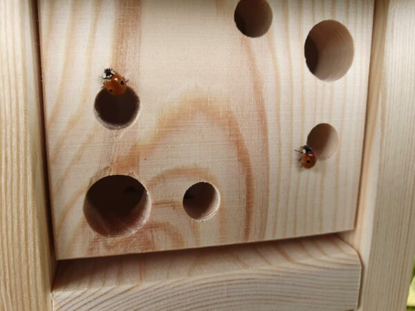 Green Gardener Ladybird Barn