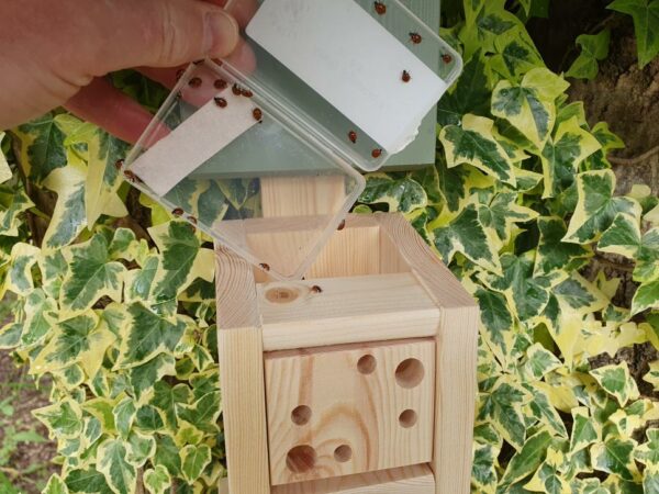 Deluxe GG Ladybird Barn Giftbox
