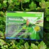 Nemaslug 2.0 Slug Killer 100 sqm for use UNDERGLASS