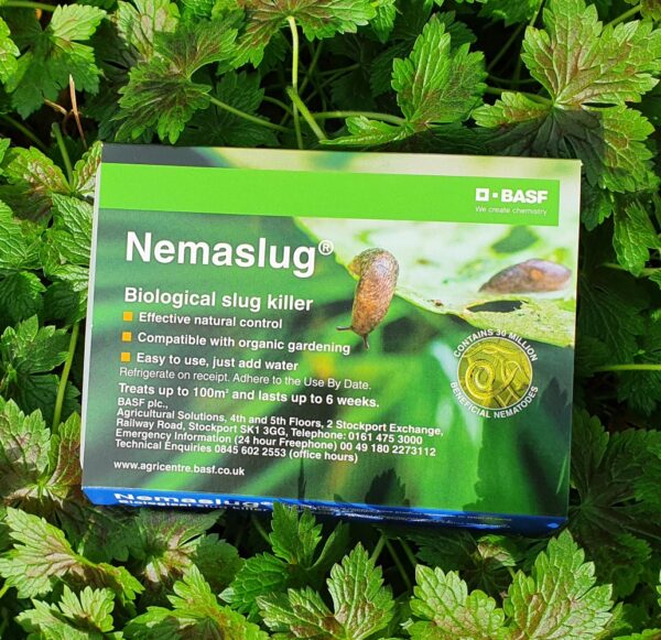 Nemaslug 2.0 Slug Killer 100 sqm for use UNDERGLASS