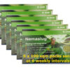 Nemaslug 6 Pack 100 sqm Planned Programme