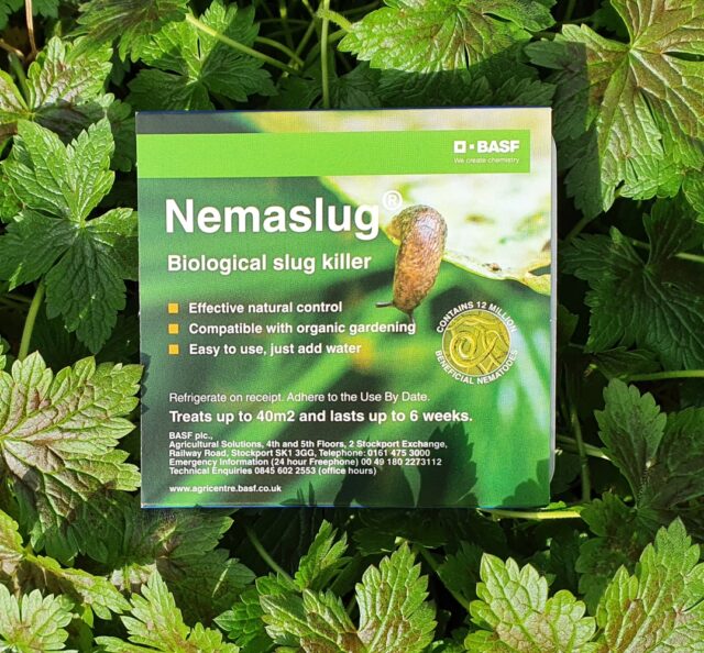 Nemaslug Slug Killer 40 sqm pack | Green Gardener