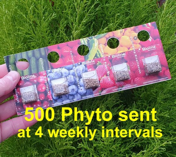 Phytoseiulus 500 Programmes