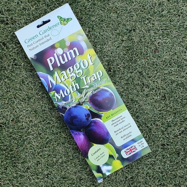 Plum Moth Trap