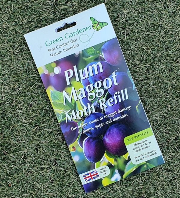 Plum Moth Trap Refill