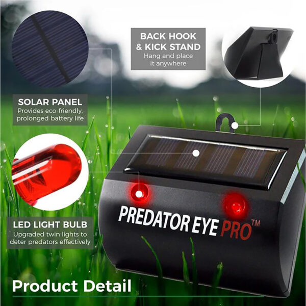 Solar Predator Eyes (replaces Nite Eyes)