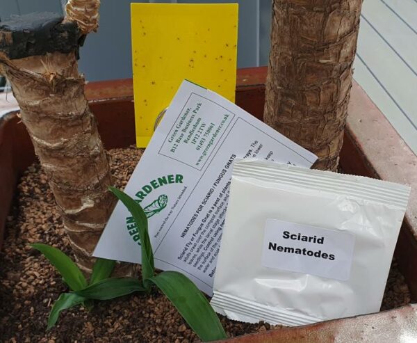 Sciarid Fly Nematodes