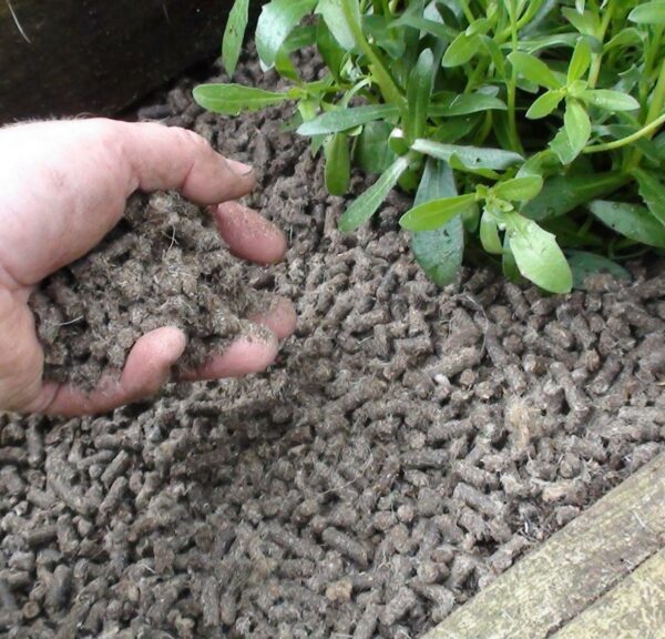 Slug Gone Wool Pellets
