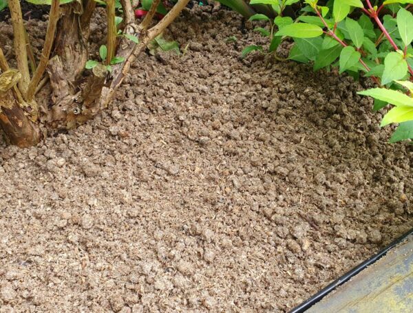 Slug Less Straw Pellets 5L