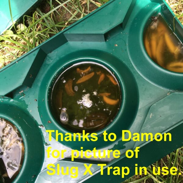 Slug X Trap