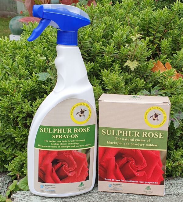 Sulphur Rose for Blackspot / Mildew 250g