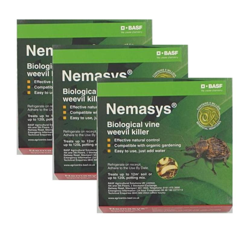 Vine Weevil Killer 12 sqm Extended Programmes