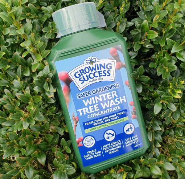 Winter Tree Wash
