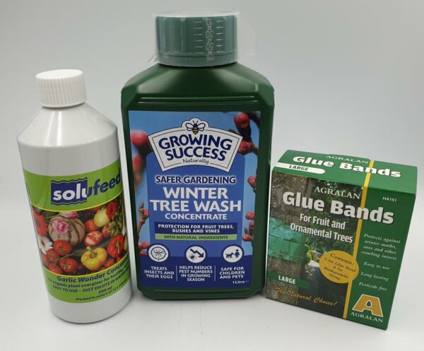 Winter Tree Wash