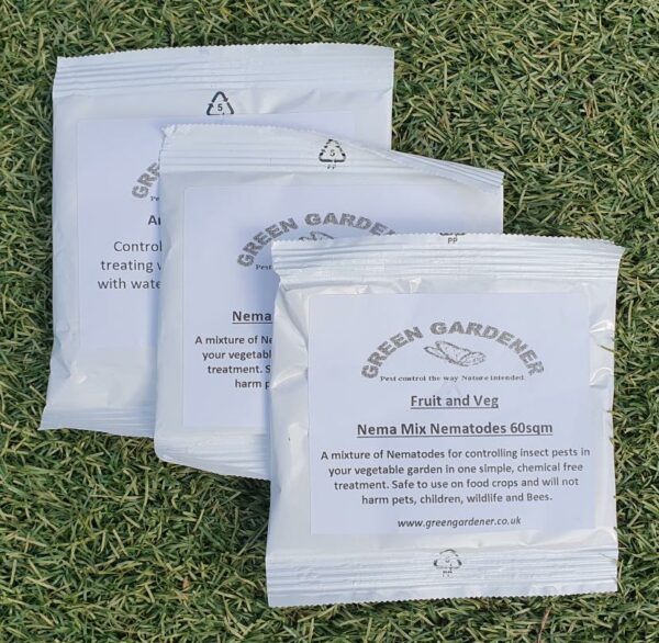 Lawn Flea Nematodes