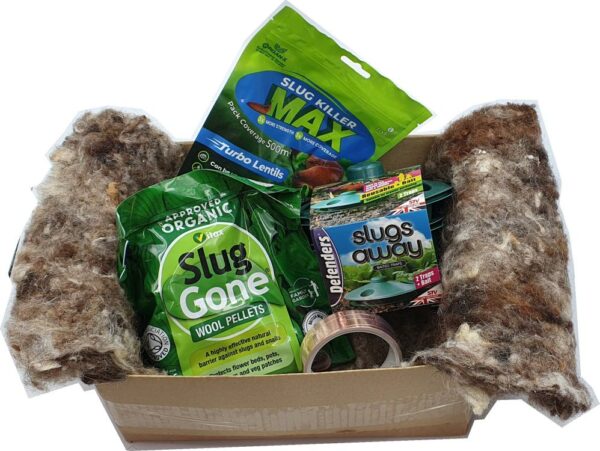 Slug Lentil Giftbox