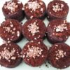 Coir Pellets x100 (400g)