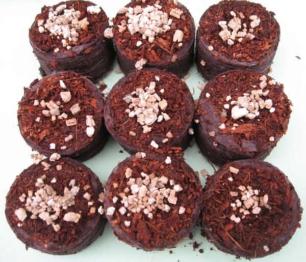 Coir Pellets x100 (400g)