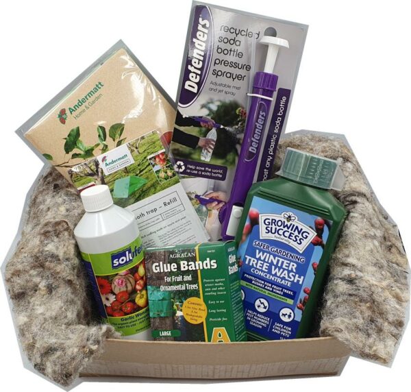 Fruit Tree Giftboxes