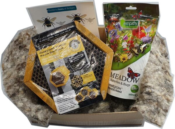Modular Bee Giftbox