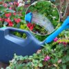 Nemaslug 2.0 Slug Killer 100 sqm for use UNDERGLASS