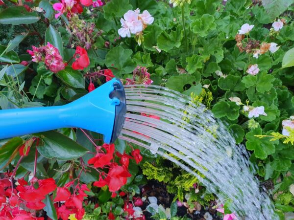 NemaCan Watering Can for Nematodes