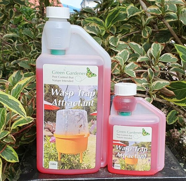 Wasp Trap with Attractant