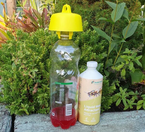 Soda Bottle Wasp Trap with Attractant