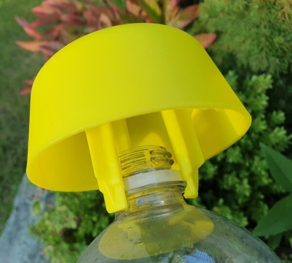 Soda Bottle Wasp Trap with Attractant