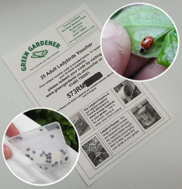 Deluxe GG Ladybird Barn Giftbox