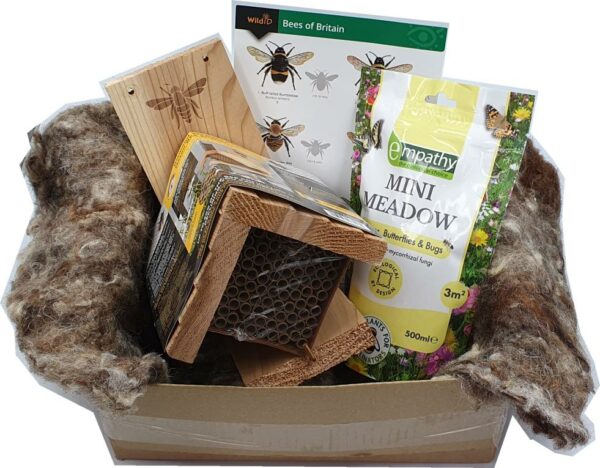 Solitary Bee Diamond Giftbox