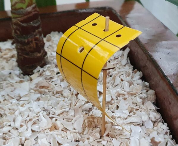 Pot Glue Traps