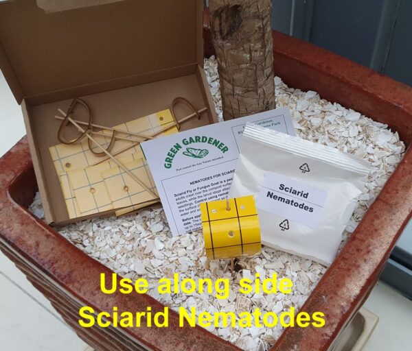 Pot Glue Traps